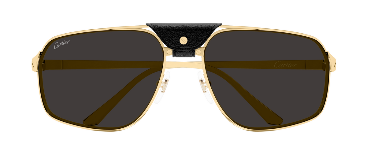 Lunettes de soleil Cartier Santos CT0651S