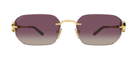 Lunettes de soleil Gucci Emblem GG2228S