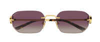 Lunettes de soleil Gucci Emblem GG2228S