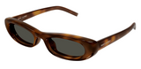 Lunettes de soleil Saint Laurent SL 557 SHADE PLUMP