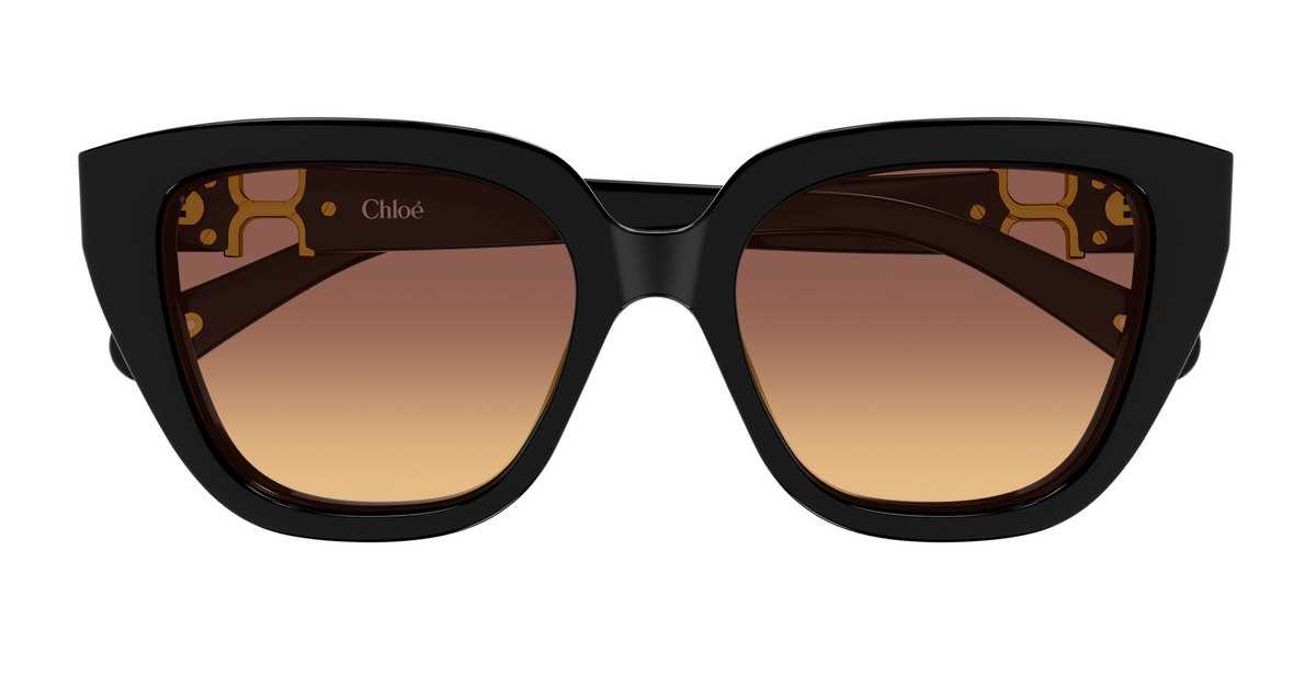 Lunettes de soleil Chloé CH0410S