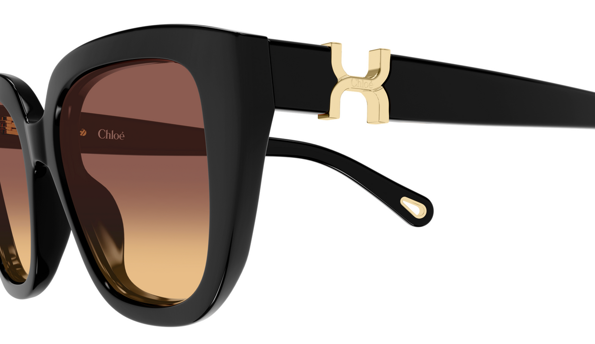 Lunettes de soleil Chloé CH0410S