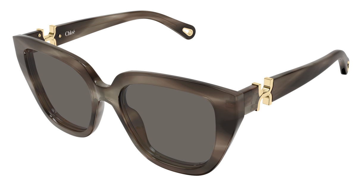 Lunettes de soleil Chloé CH0410S