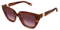 Lunettes de soleil Chloé CH0410S