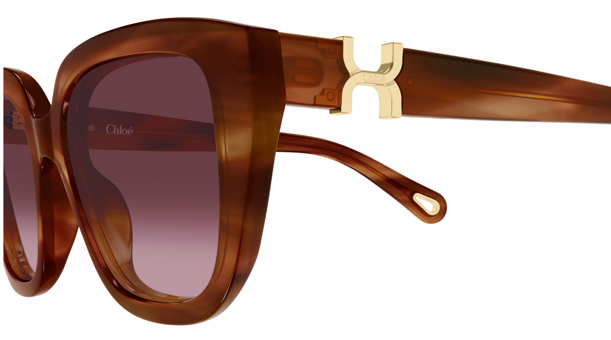 Lunettes de soleil Chloé CH0410S