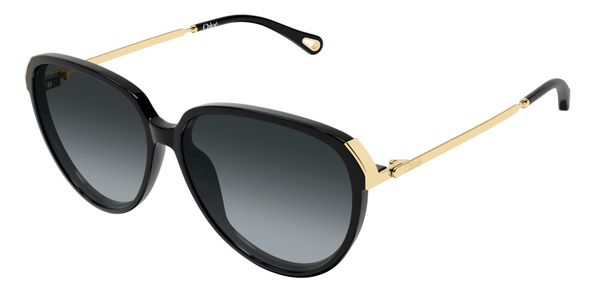 Lunettes de soleil Chloé CH0406S
