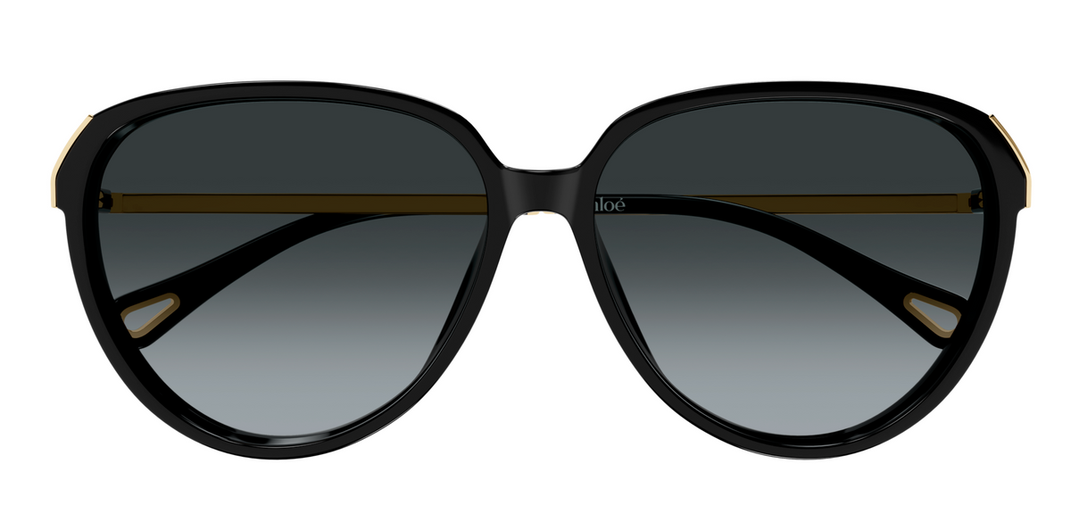 Lunettes de soleil Chloé CH0406S