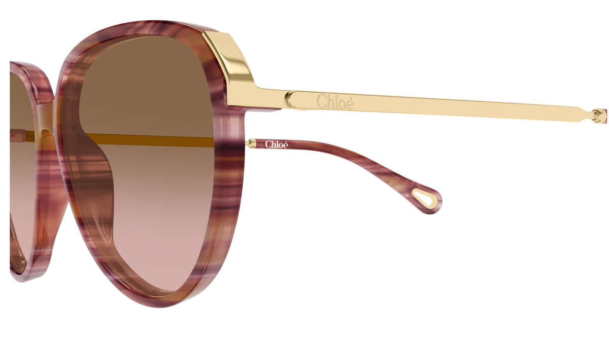 Lunettes de soleil Chloé CH0406S