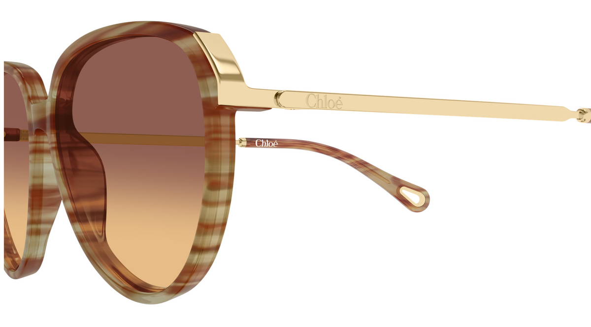 Lunettes de soleil Chloé CH0406S