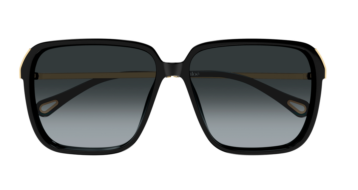 Lunettes de soleil Chloé CH0405S