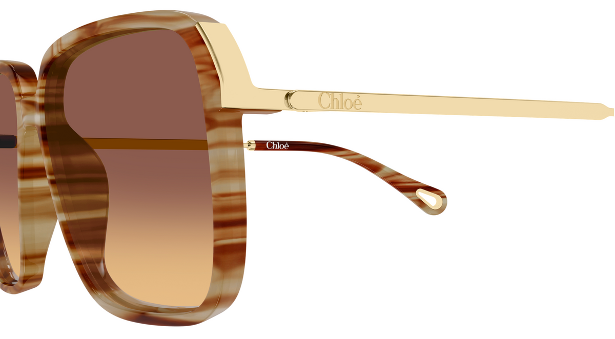 Lunettes de soleil Chloé CH0405S