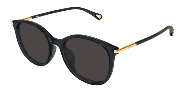 Lunettes de soleil Chloé CH0397SK