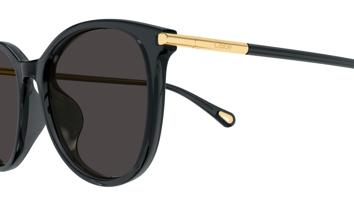 Lunettes de soleil Chloé CH0397SK