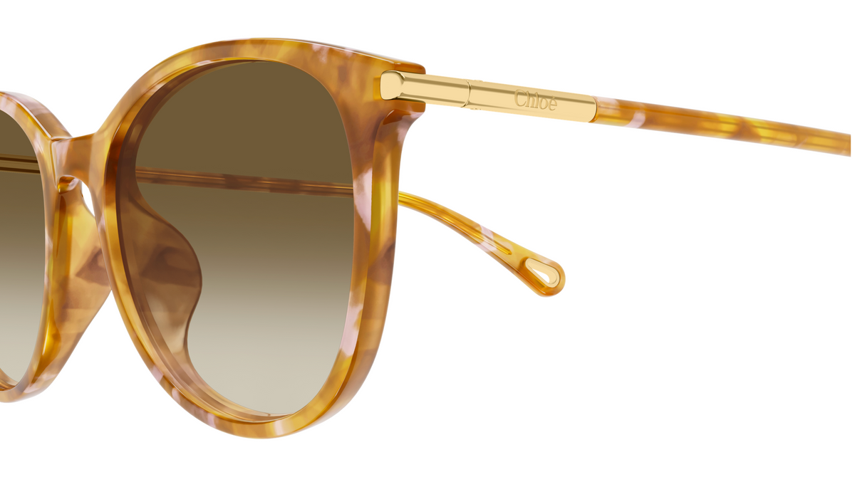 Lunettes de soleil Chloé CH0397SK