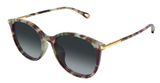 Lunettes de soleil Chloé CH0397SK