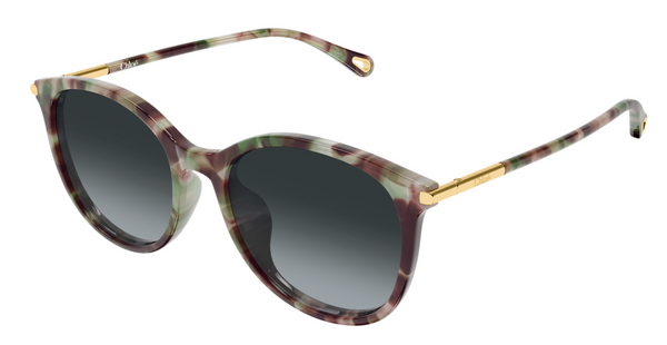 Lunettes de soleil Chloé CH0397SK