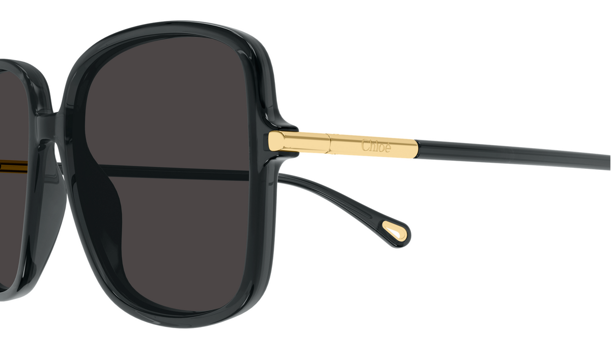 Lunettes de soleil Chloé CH0396S