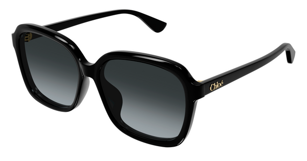 Lunettes de soleil Chloé CH0390SK