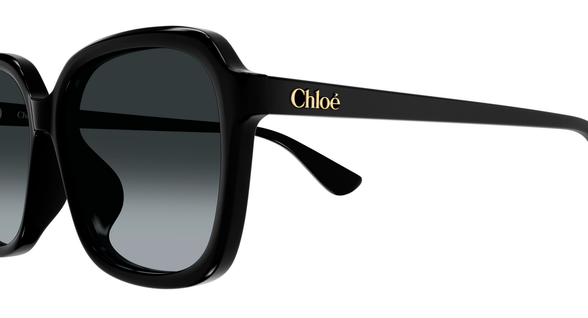 Lunettes de soleil Chloé CH0390SK