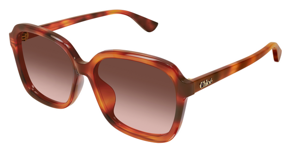 Lunettes de soleil Chloé CH0390SK