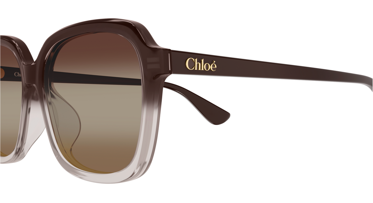 Lunettes de soleil Chloé CH0390SK
