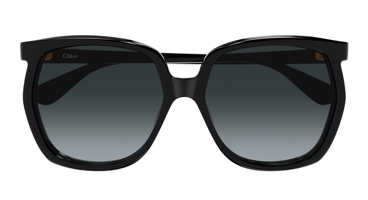 Lunettes de soleil Chloé CH0389S