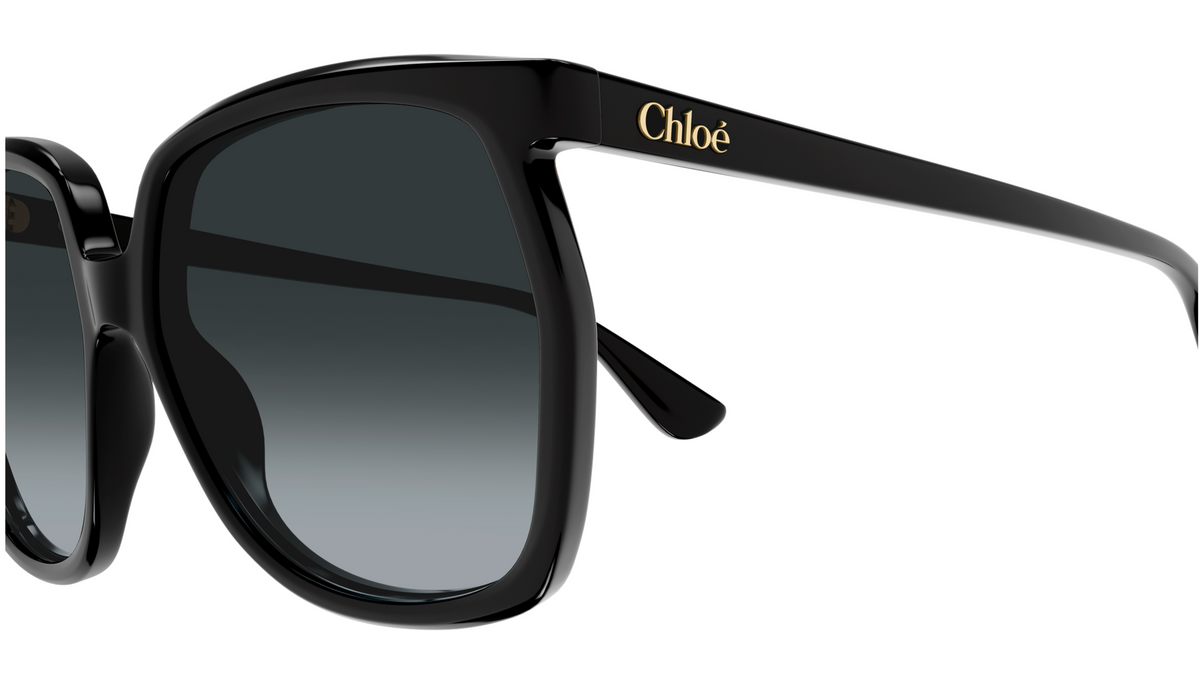 Lunettes de soleil Chloé CH0389S