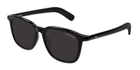 Lunettes de soleil Montblanc Snowcap MB0497S
