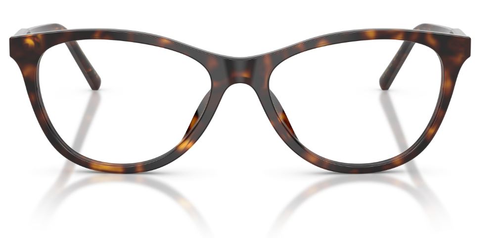 Lunettes de vue Dolce & Gabbana DG3443