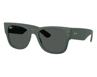 Lunettes de soleil Ray-Ban RB4840S