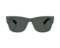 Lunettes de soleil Ray-Ban RB4840S