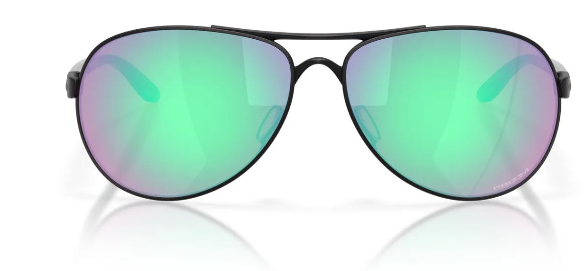 Lunettes de soleil Oakley Feedback OO4079