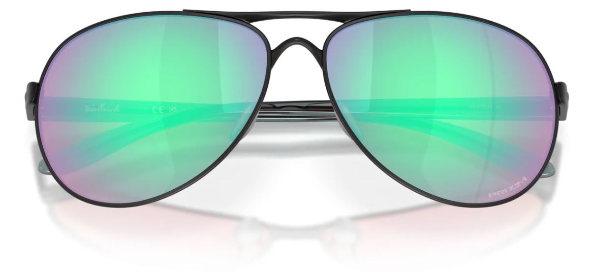 Lunettes de soleil Oakley Feedback OO4079