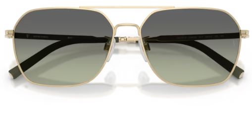 Lunettes de soleil Oliver Peoples R-17 OV1377S