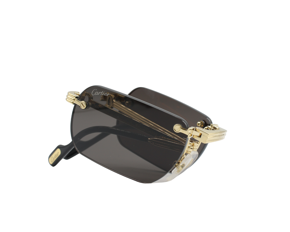 Lunettes de soleil Cartier Première CT0499S