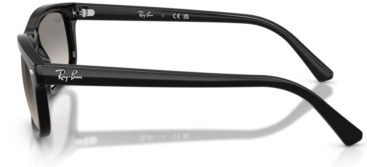 Lunettes de soleil Ray-Ban RB2224