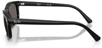 Lunettes de soleil Ray-Ban RB2224