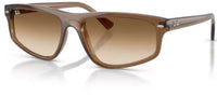 Lunettes de soleil Ray-Ban RB2225