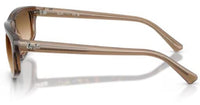 Lunettes de soleil Ray-Ban RB2225