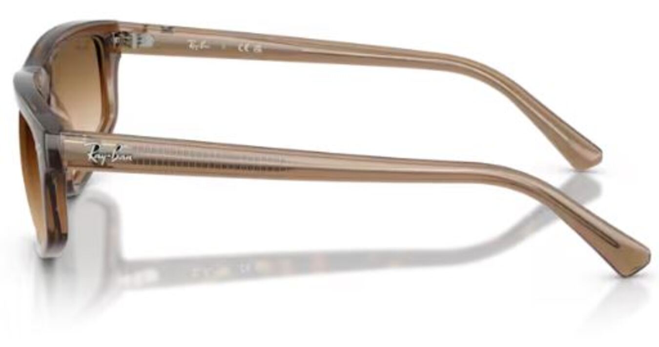 Lunettes de soleil Ray-Ban RB2225