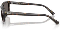 Lunettes de soleil Ray-Ban RB2225
