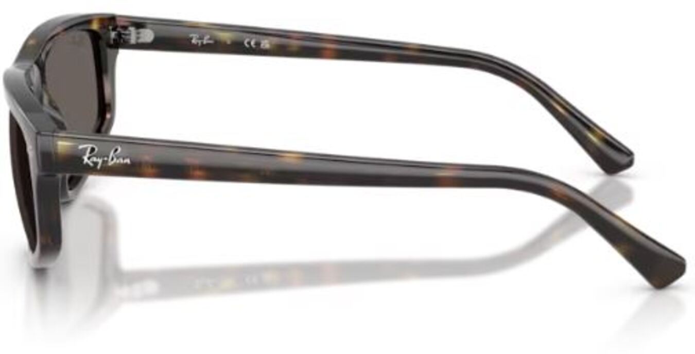 Lunettes de soleil Ray-Ban RB2225