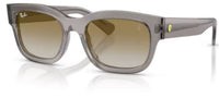 Lunettes de soleil Ray-Ban RB2228M