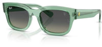 Lunettes de soleil Ray-Ban RB2228M