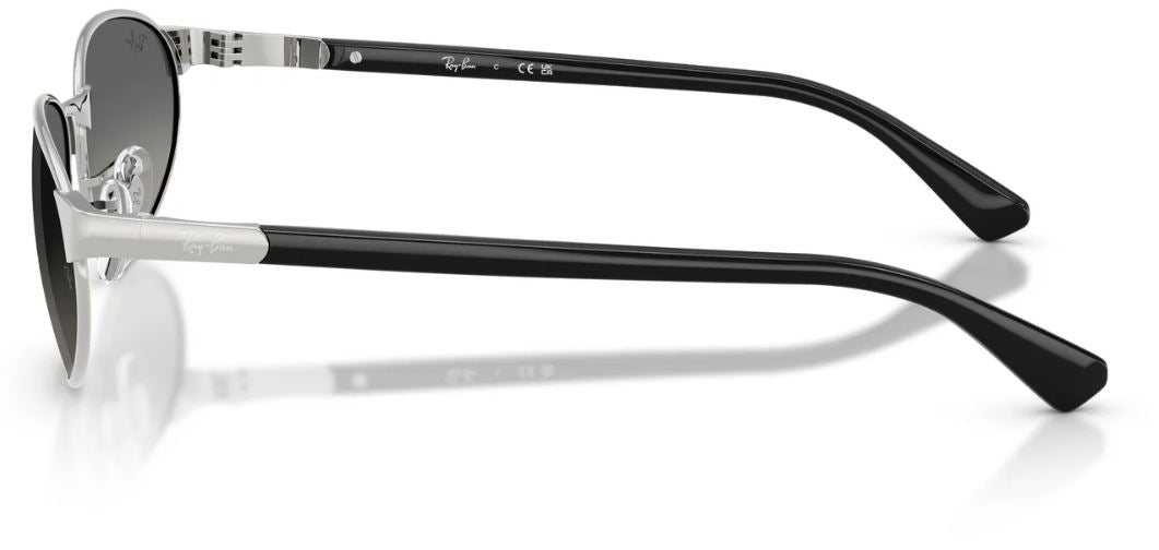 Lunettes de soleil Ray-Ban RB3777