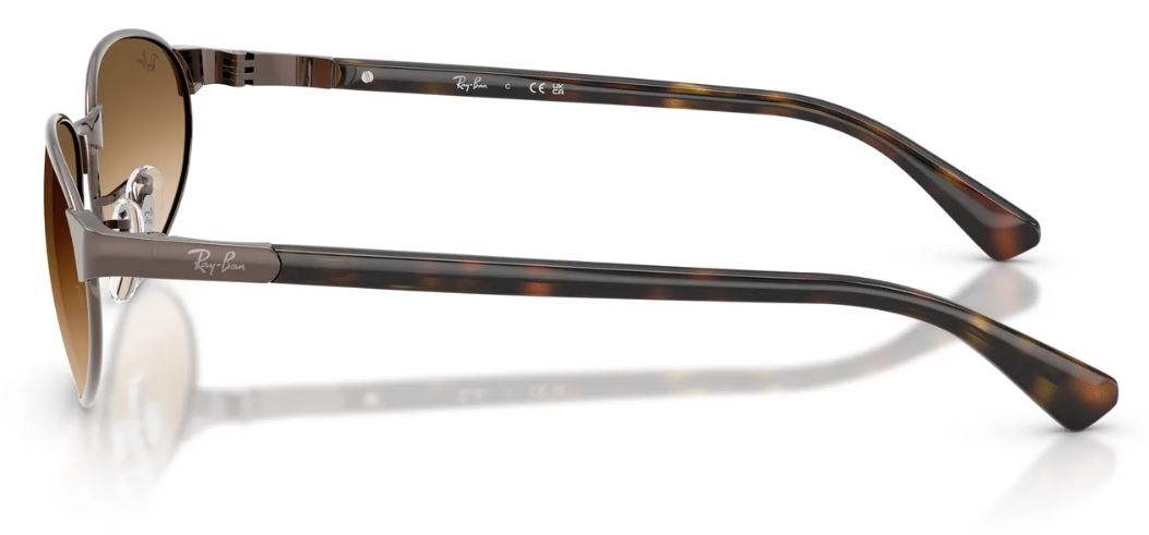 Lunettes de soleil Ray-Ban RB3777