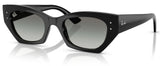 Lunettes de soleil Ray-Ban RB4430