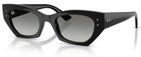 Lunettes de soleil Ray-Ban RB4430