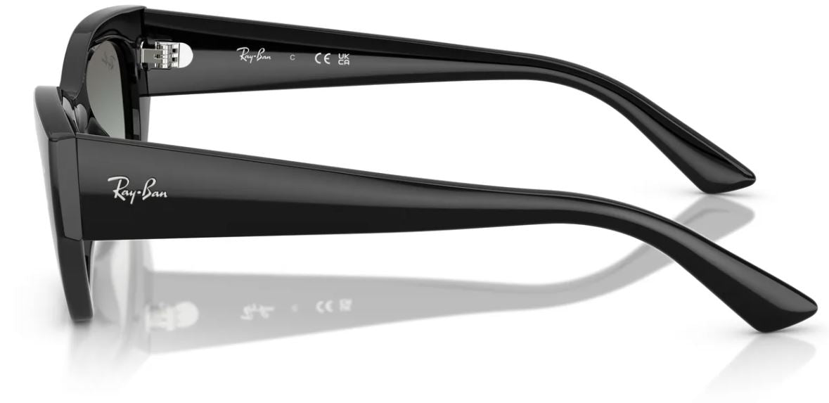 Lunettes de soleil Ray-Ban RB4430