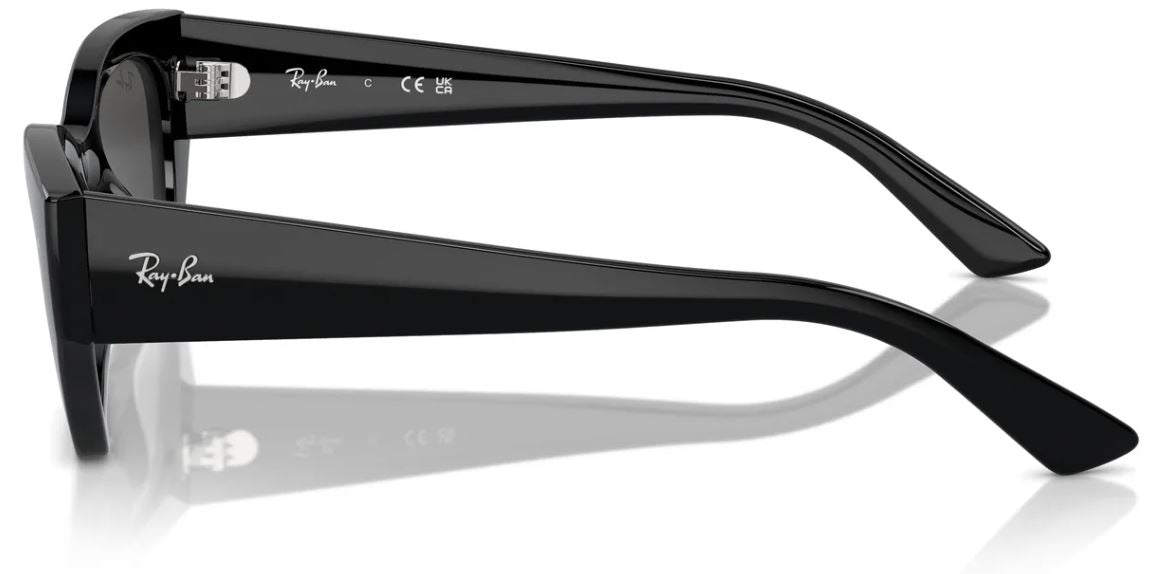 Lunettes de soleil Ray-Ban RB4430
